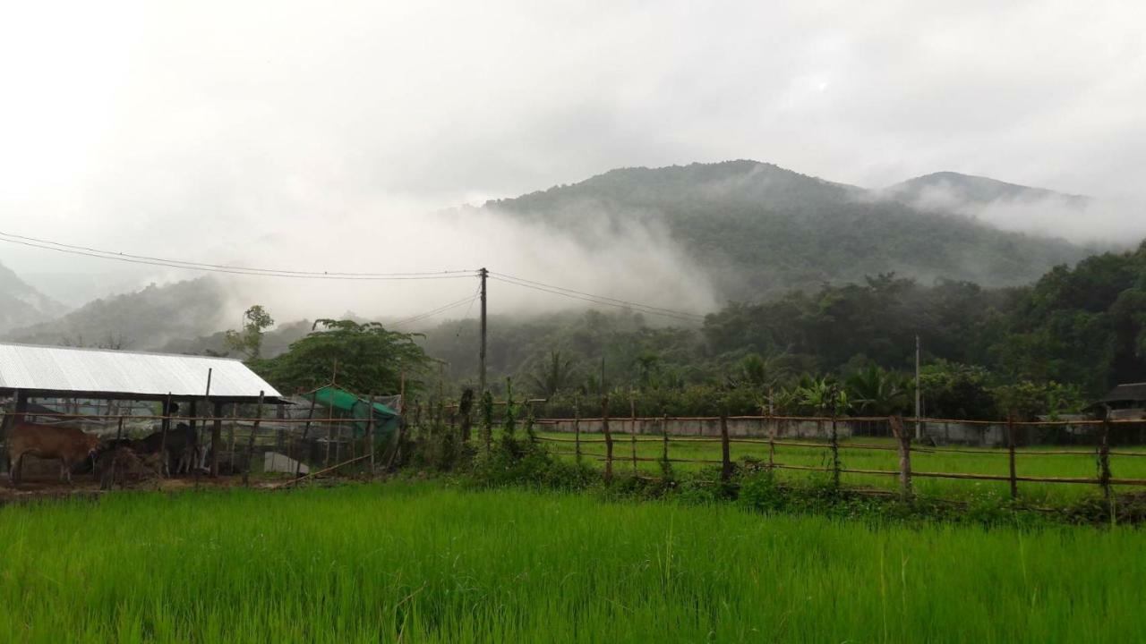 Farm stay ฮ้างนาตาจันทร์