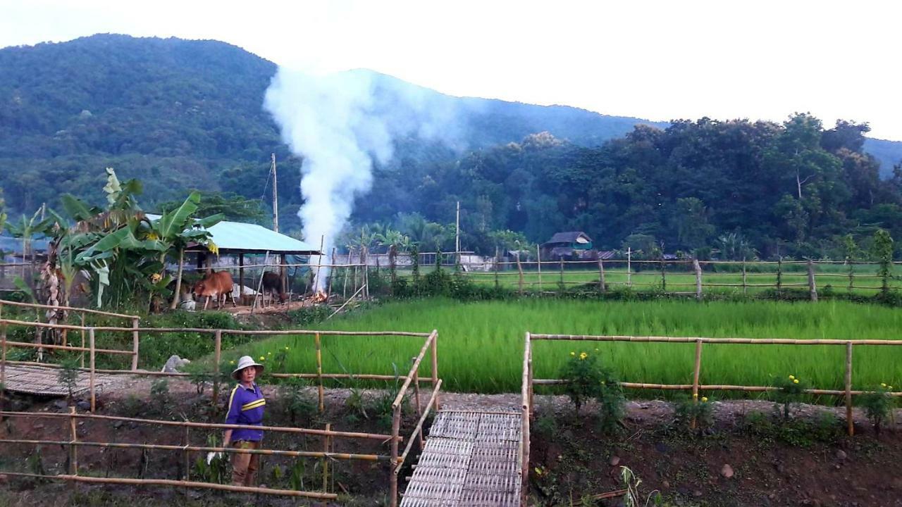 ฮ้างนาตาจันทร์ Farm stay *