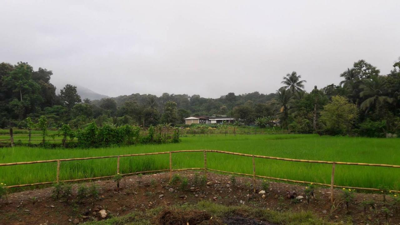 ฮ้างนาตาจันทร์ Farm stay Pua