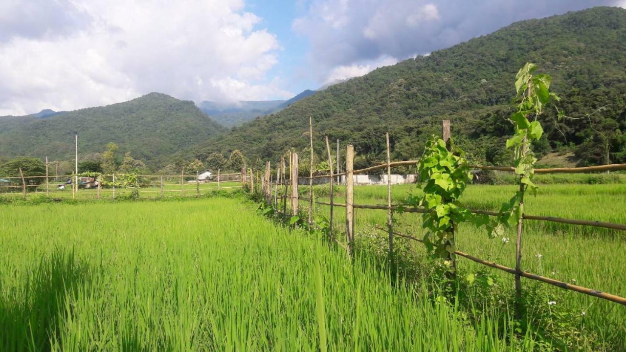 ฮ้างนาตาจันทร์ Farm stay
