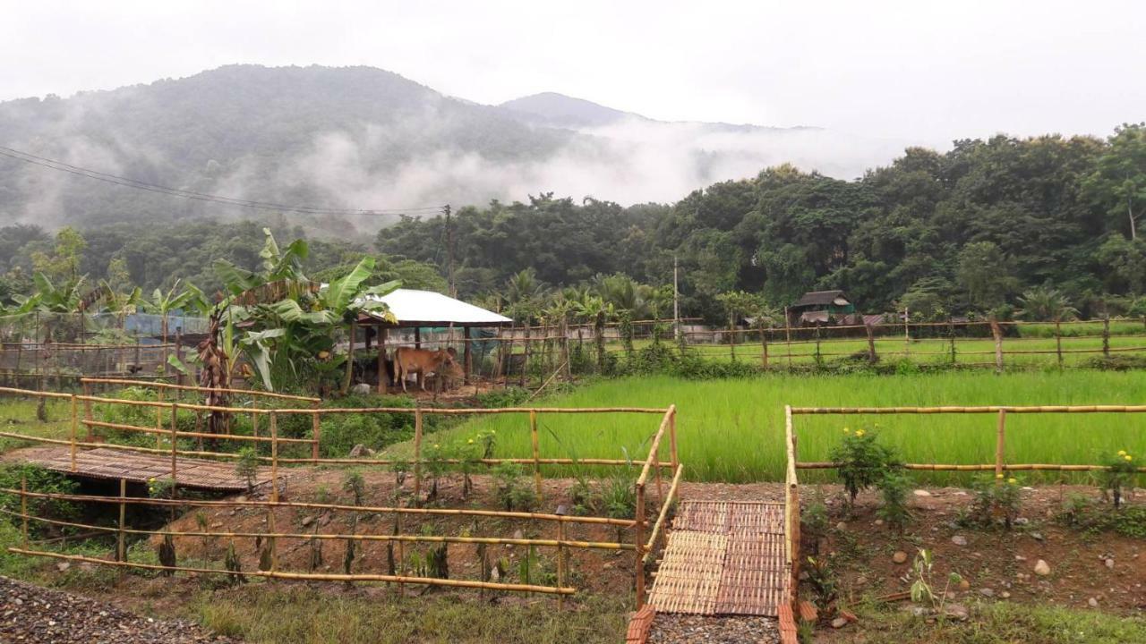 ฮ้างนาตาจันทร์ Farm stay