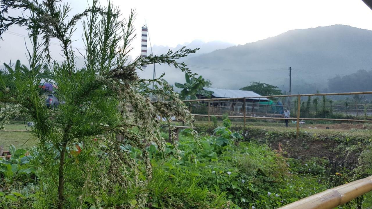 ฮ้างนาตาจันทร์ Farm stay