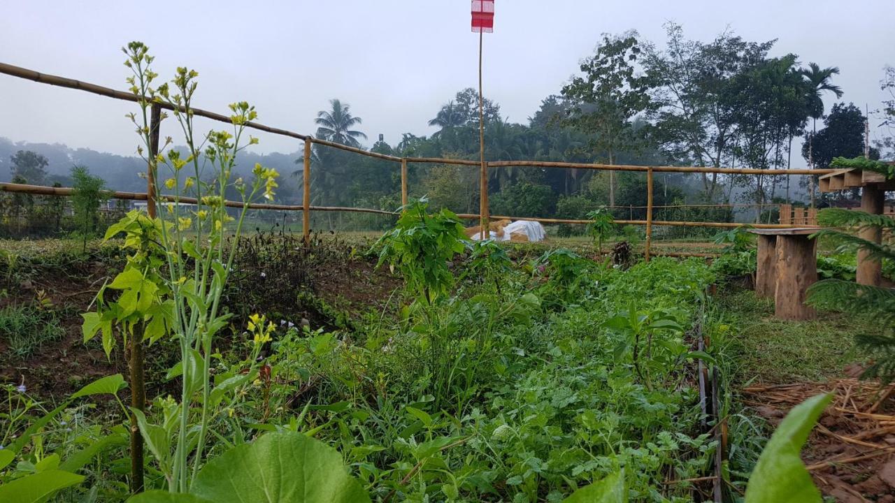 ฮ้างนาตาจันทร์ Farm stay