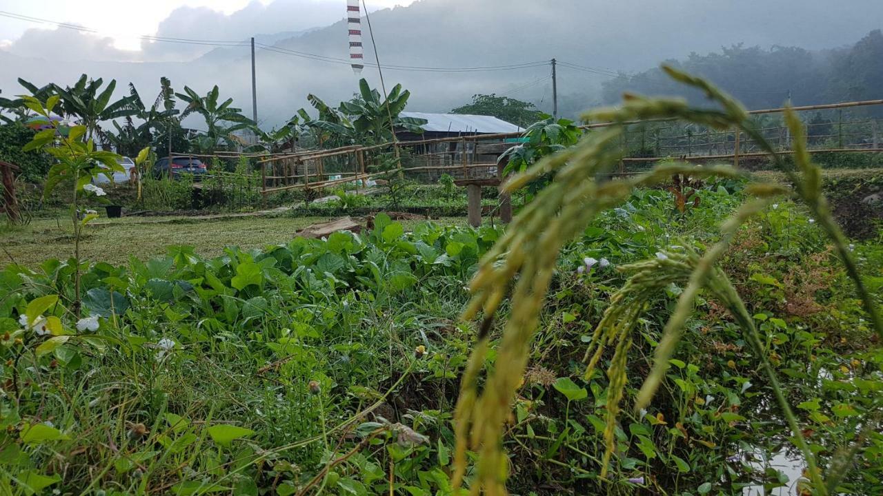 ฮ้างนาตาจันทร์ Farm stay