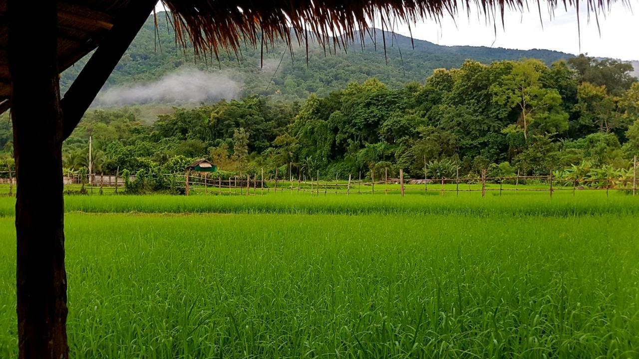 ฮ้างนาตาจันทร์ Farm stay *