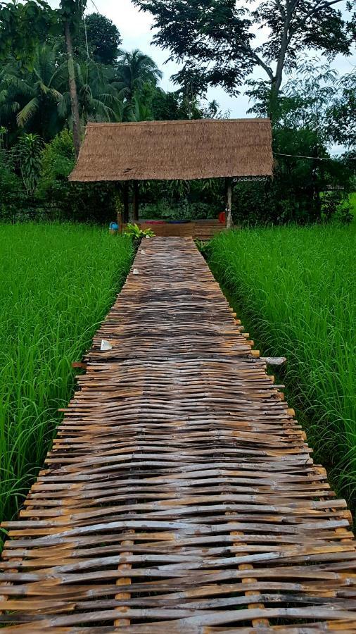 ฮ้างนาตาจันทร์ Farm stay