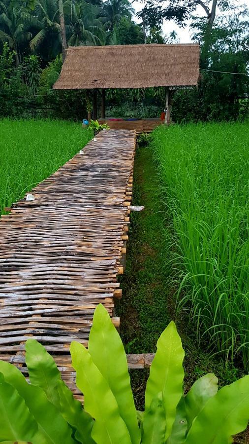 ฮ้างนาตาจันทร์ Pua