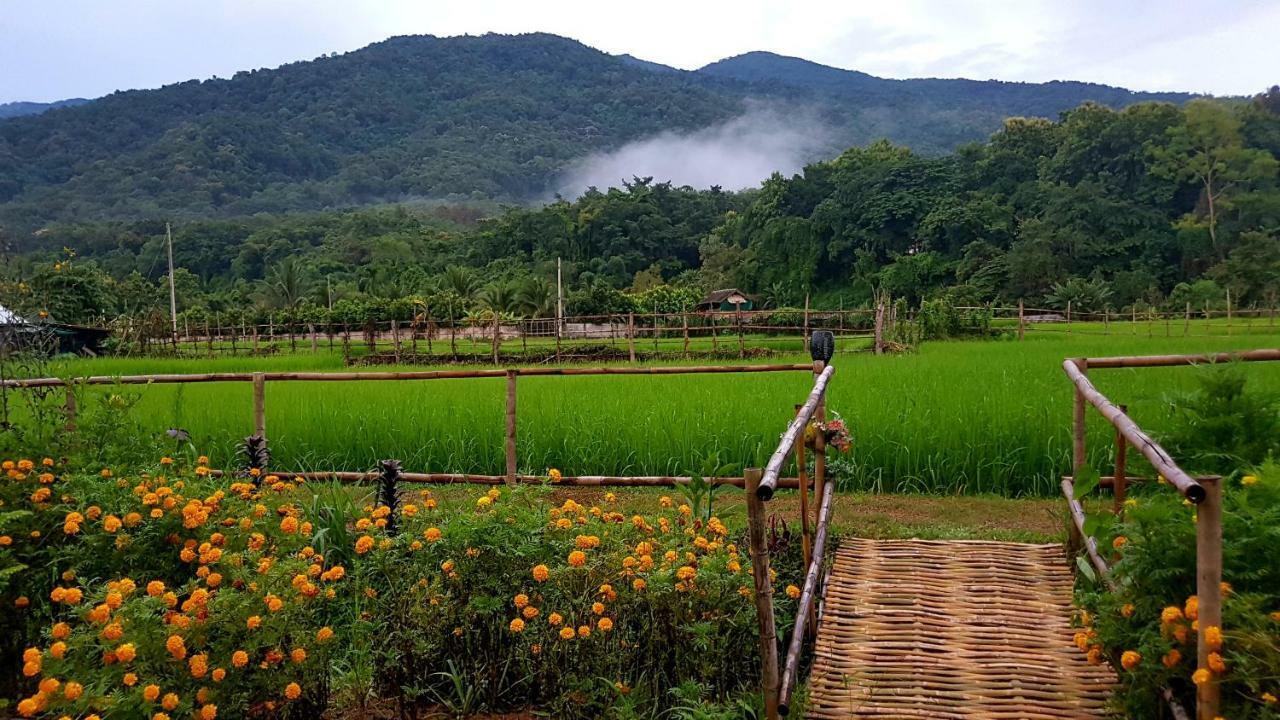Farm stay ฮ้างนาตาจันทร์