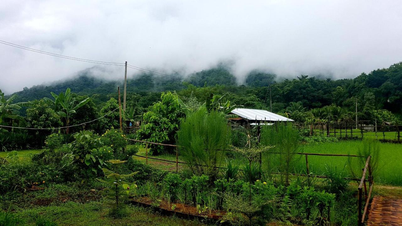 ฮ้างนาตาจันทร์ Farm stay
