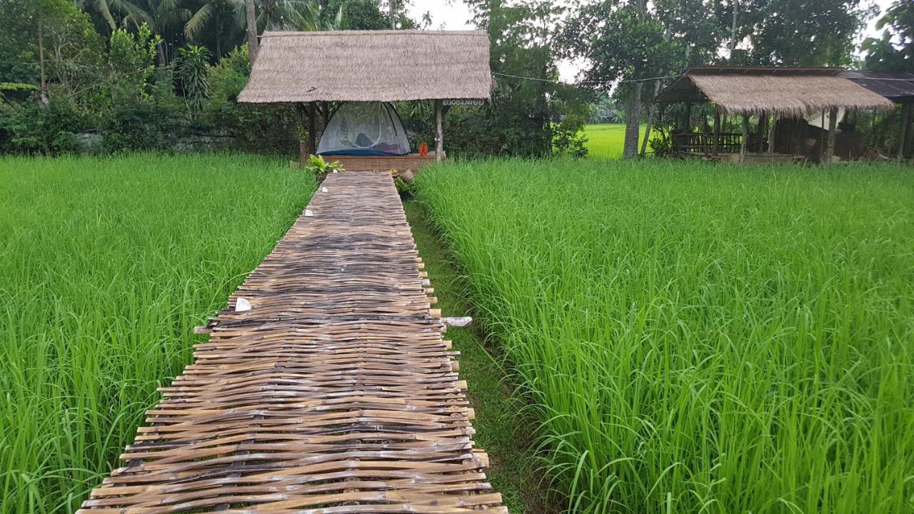 ฮ้างนาตาจันทร์ Farm stay